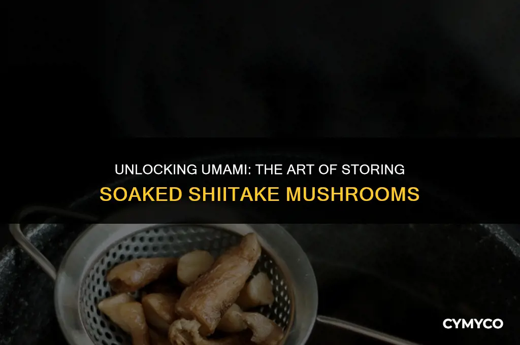 can you store soaked shiitake