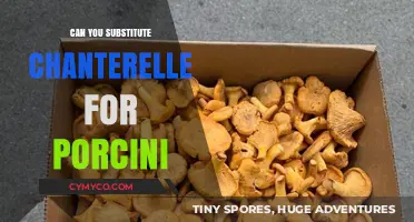 Chanterelle vs. Porcini: Can You Substitute One for the Other?