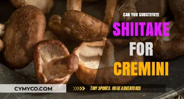 Exploring Flavor: Shiitake vs. Cremini Mushroom Substitutions