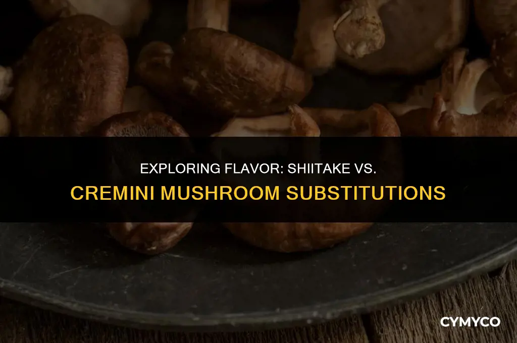 can you substitute shiitake for cremini