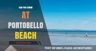 Exploring Portobello Beach: A Guide to Safe Swimming Spots