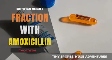 Maitake D-Fraction and Amoxicillin: Safe to Combine or Risky Interaction?
