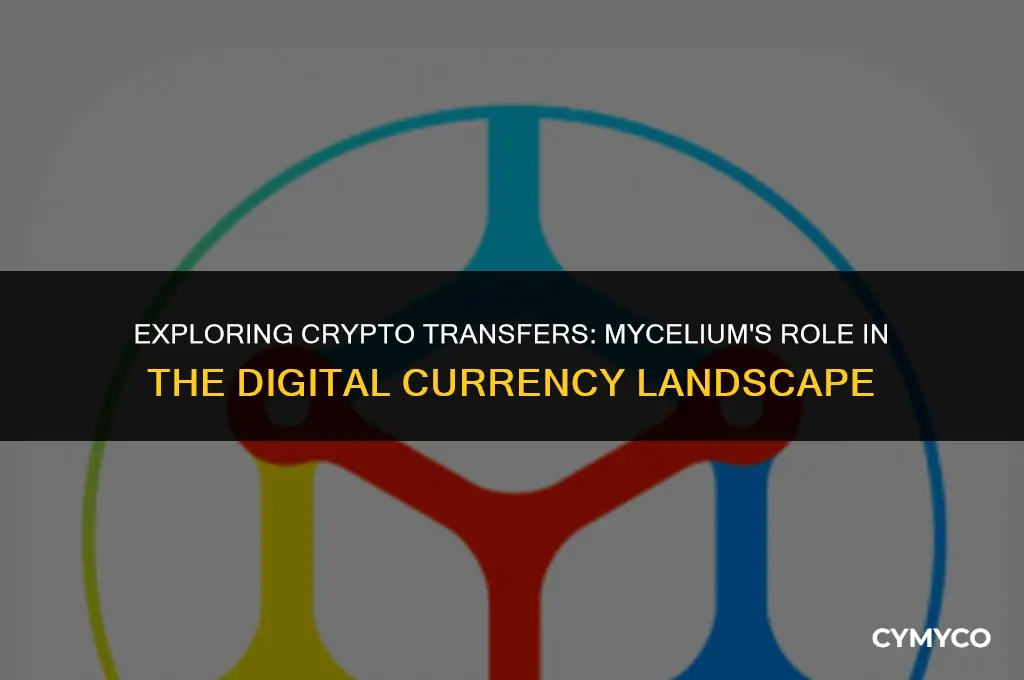 can you transfer any cryptocurrency to mycelium