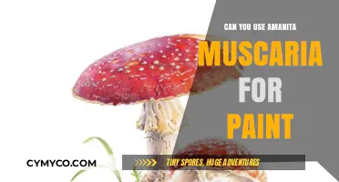 Exploring the Psychedelic Palette: Amanita Muscaria in Art
