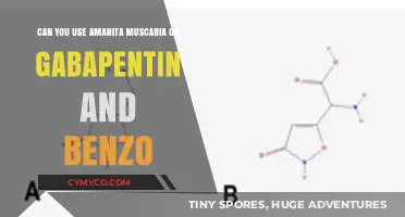 Exploring the Risks: Amanita Muscaria with Gabapentin and Benzodiazepines