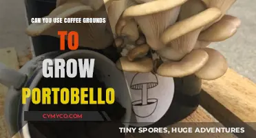 From Grounds to Gourmet: Cultivating Portobello Mushrooms with Coffee