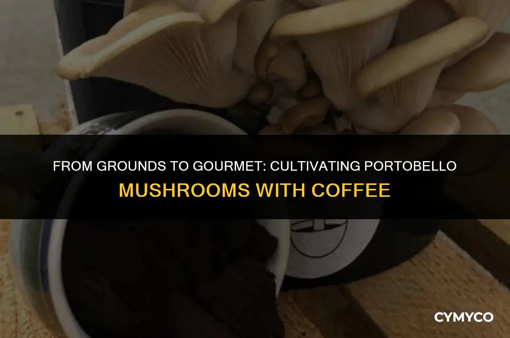can you use coffee grounds to grow portobello
