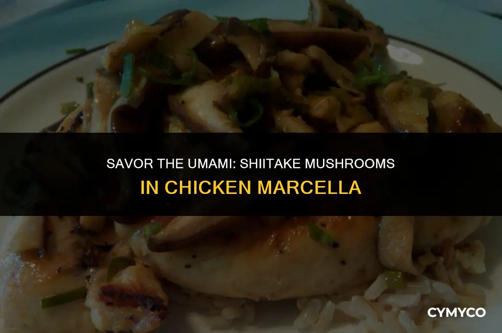 can you use shiitake in chicken maecella