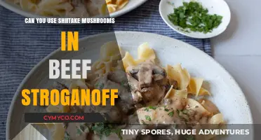 Savor the Flavor: Shiitake Mushrooms in Beef Stroganoff Delight