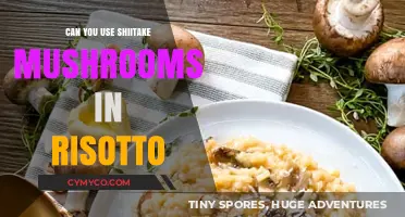 Savoring Umami: Shiitake Mushrooms in Creamy Risotto Delight