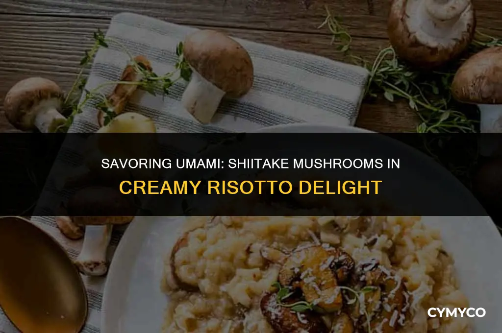 can you use shiitake mushrooms in risotto