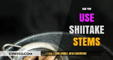 Unlocking the Secrets of Shiitake Stems: A Culinary Exploration