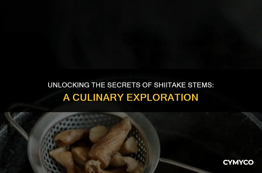 can you use shiitake stems