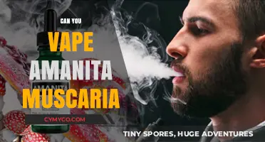 Exploring the Effects and Risks of Vaping Amanita Muscaria