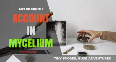 Troubleshooting Coinapult Account Integration in Mycelium Wallet