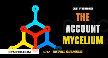 Troubleshooting Mycelium Account Sync Issues: A Comprehensive Guide