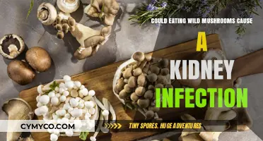Exploring the Risks: Wild Mushrooms and Kidney Health
