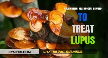 Reishi Mushrooms: A Potential Natural Treatment for Lupus Symptoms?