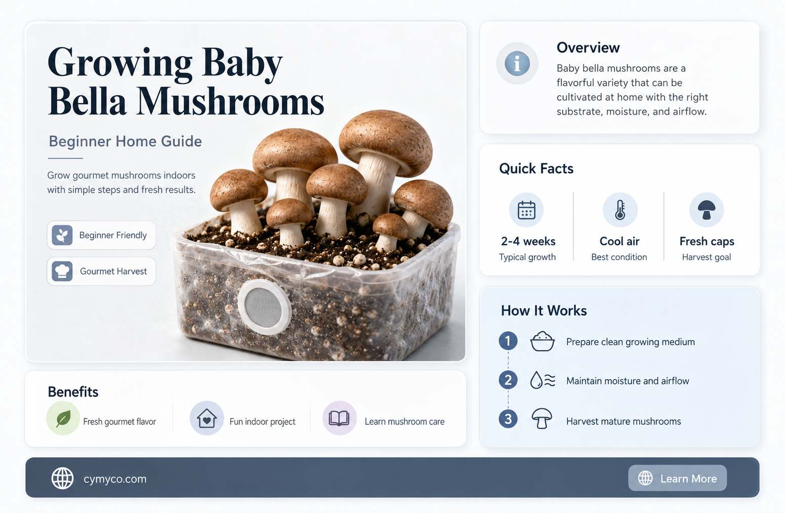 how to grow baby bella mushrooms