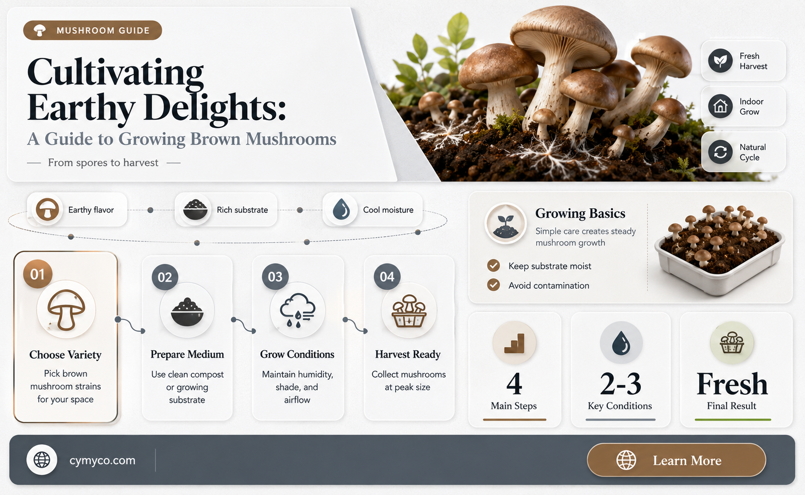 how to grow brown mushrooms