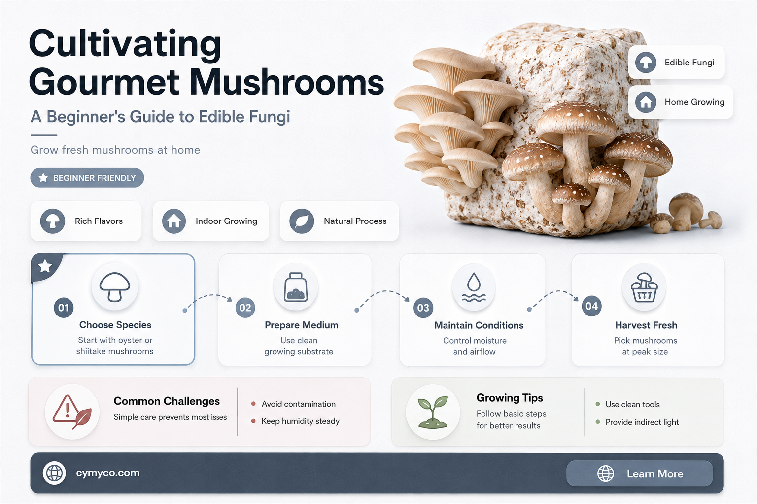 how to grow edible mushrooms