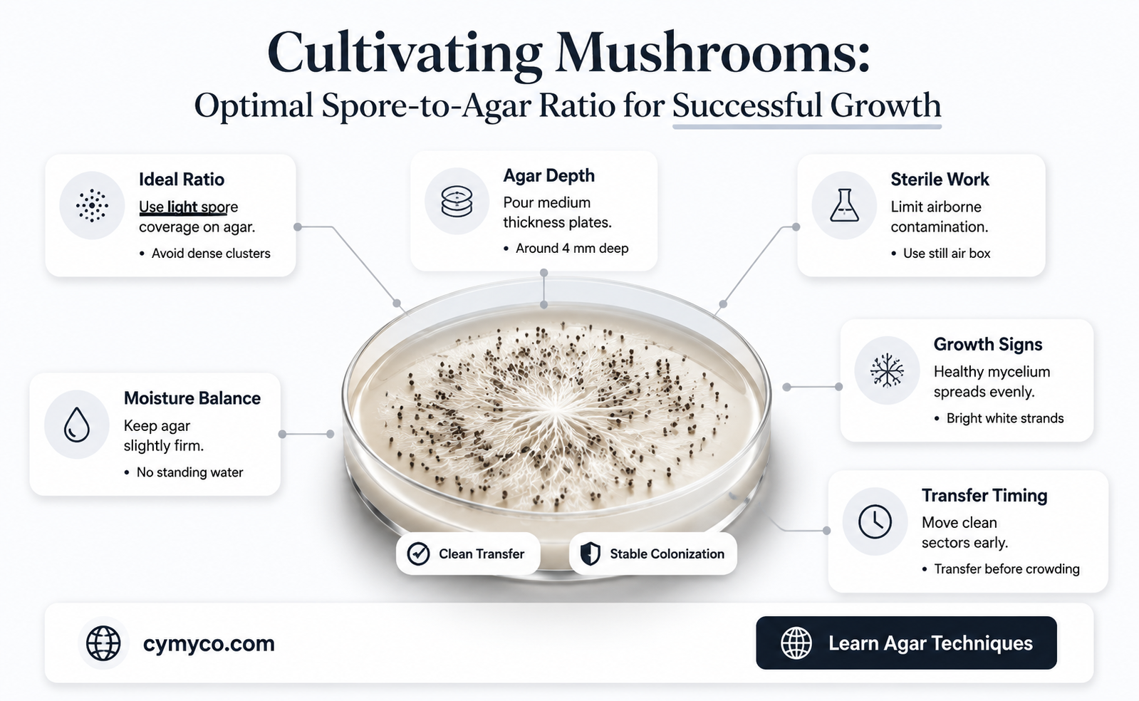 how much many ml of mushroom liquid spore to agar