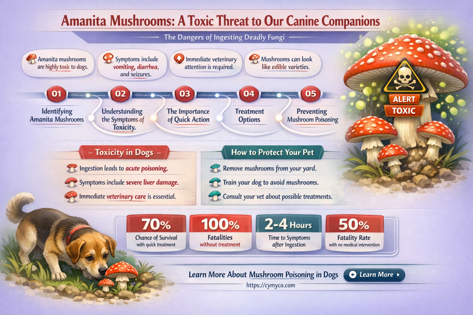 are amanita mushrooms poisonous to dogs