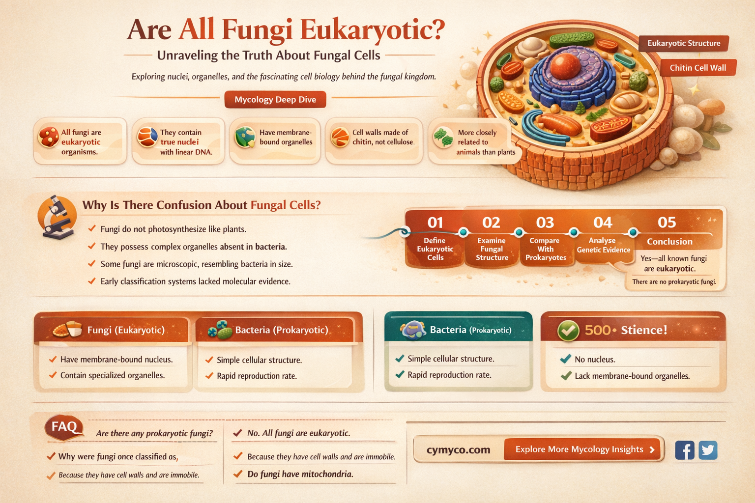 are all fungi eukaryotic