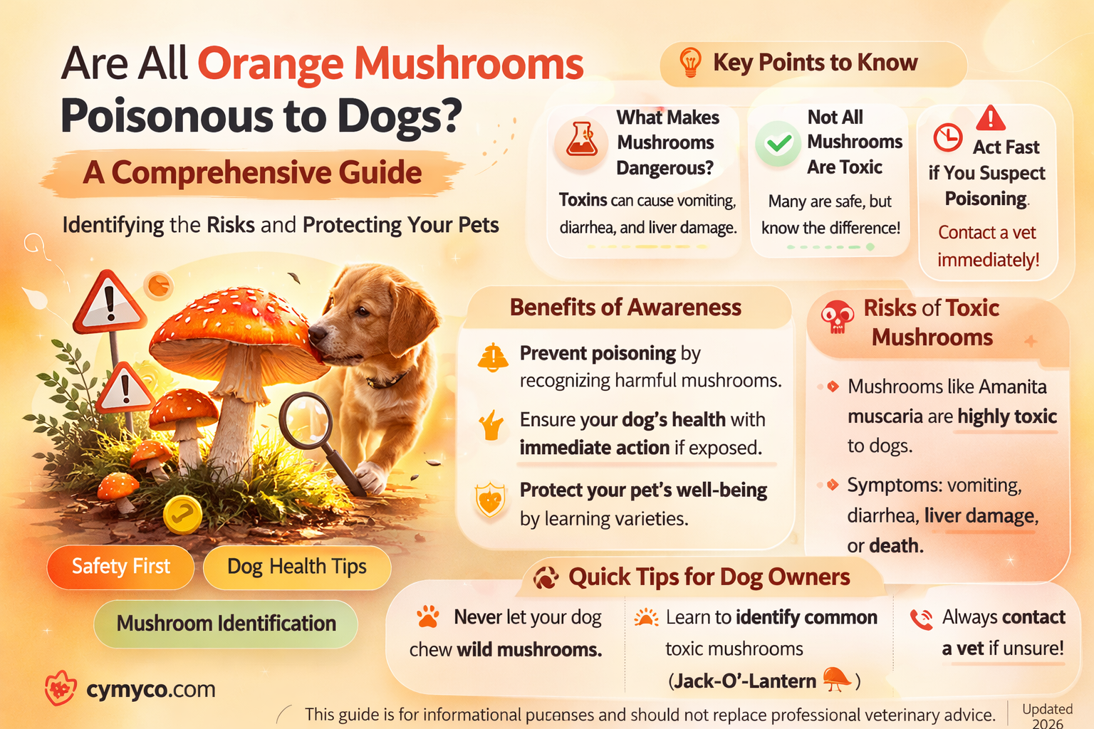 are all orange mushrooms poisonous to dogs