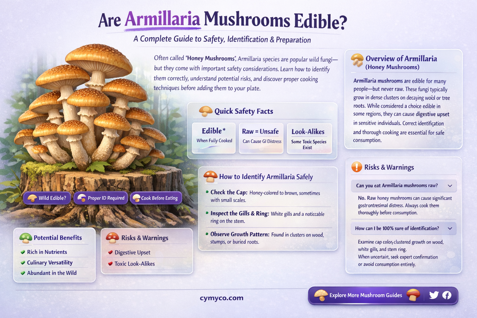 are armillaria mushrooms edible
