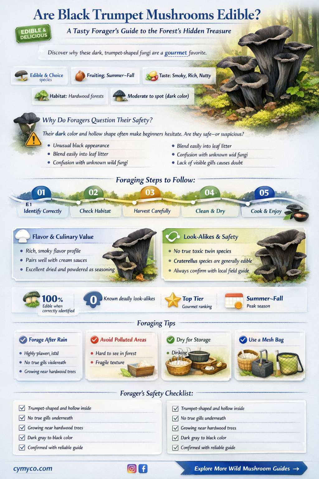 are black trumpet mushrooms edible