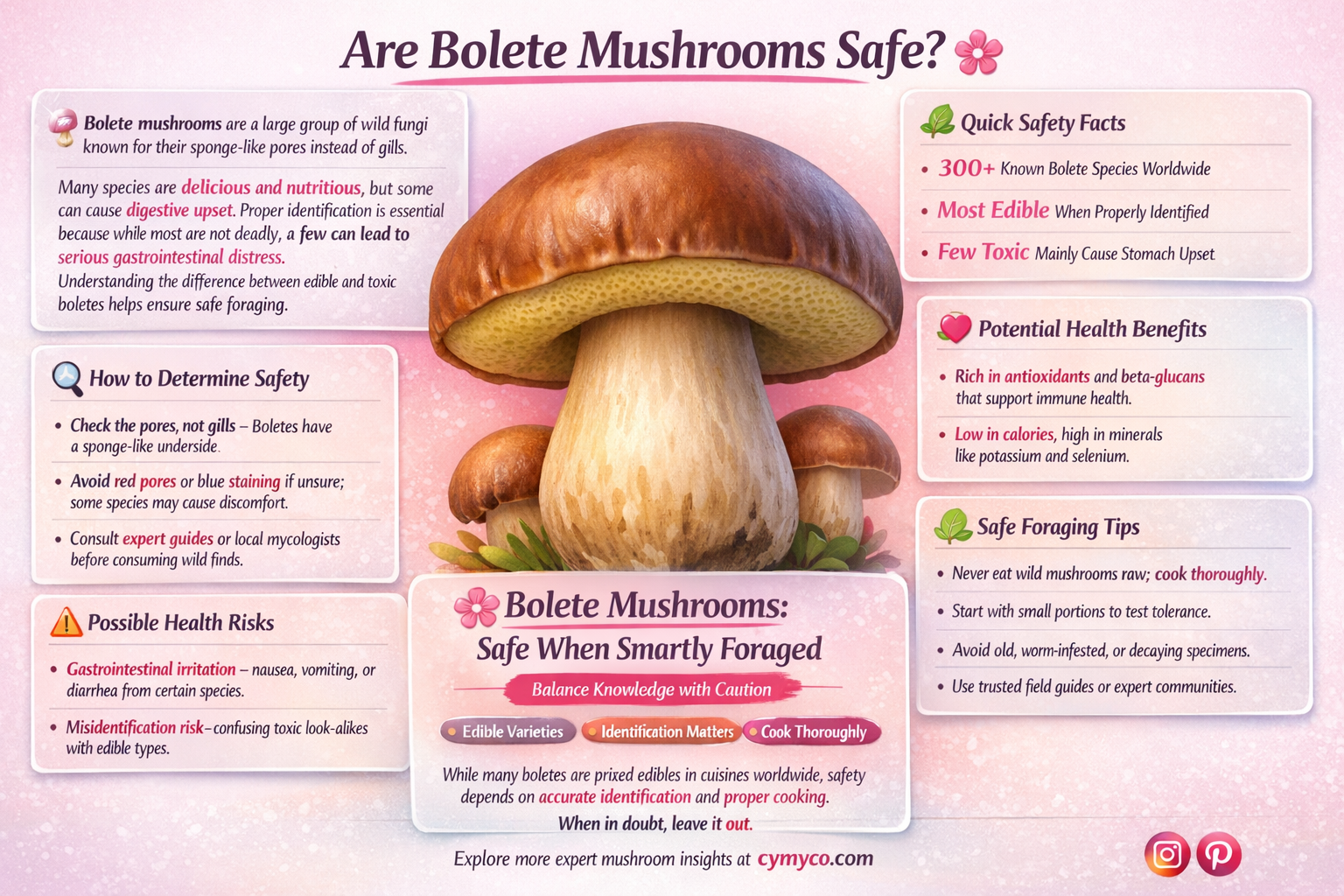 are bolete mushrooms bad for you