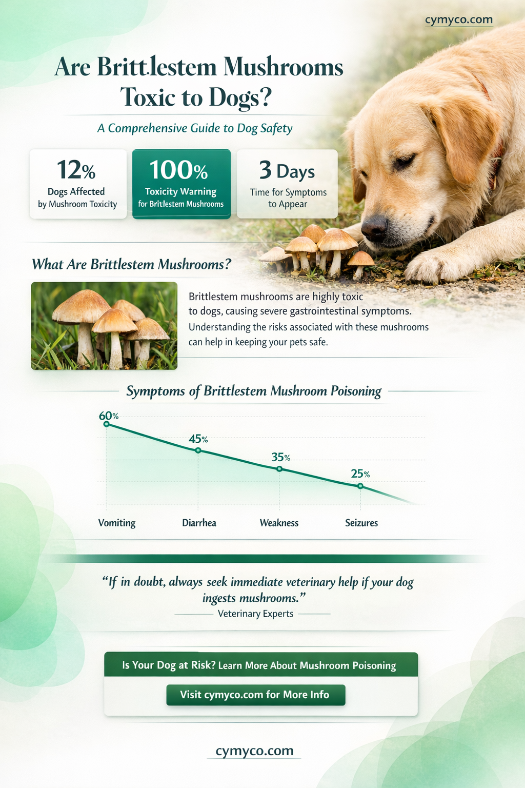 are brittlestem mushrooms poisonous to dogs