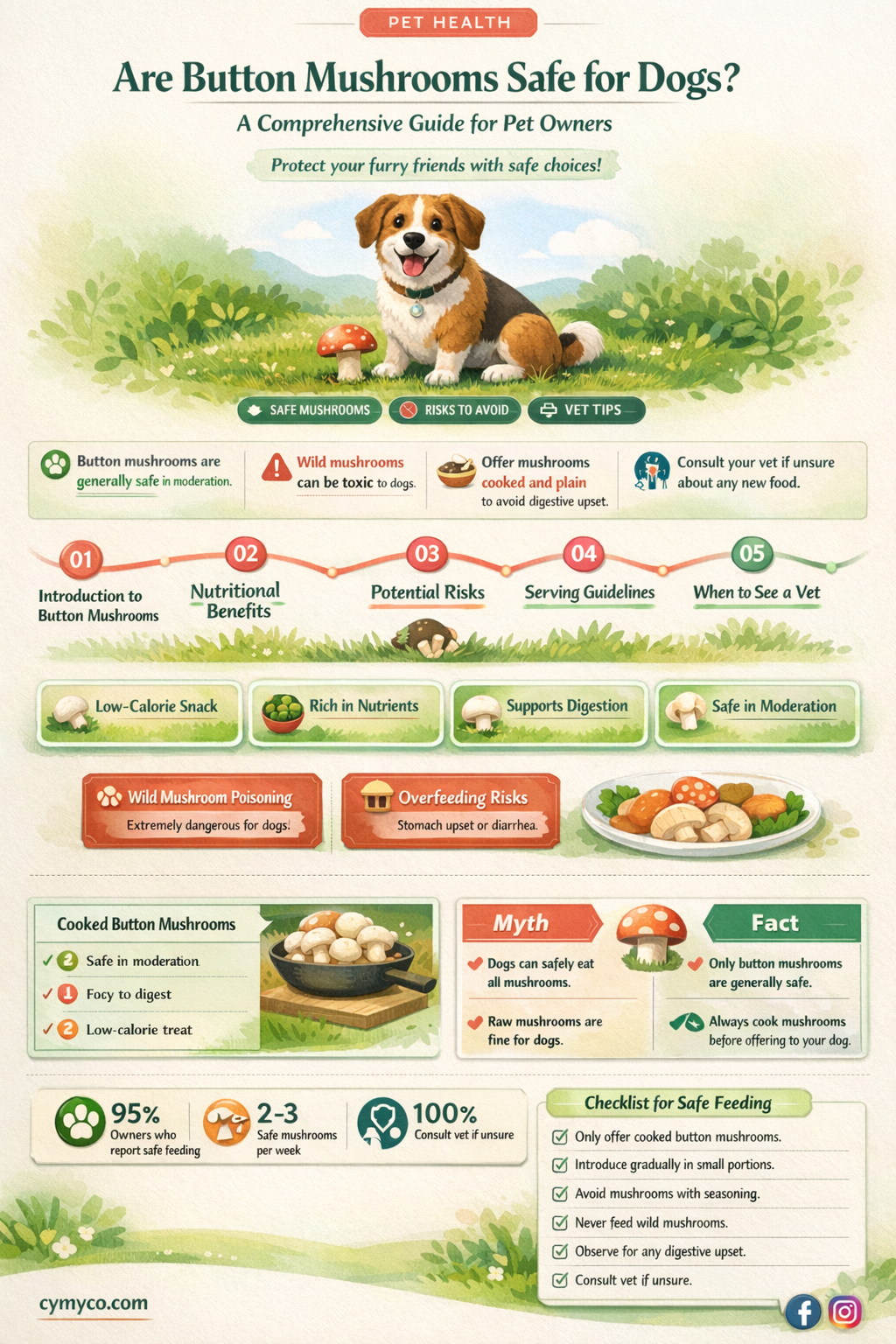 are button mushrooms poisonous to dogs