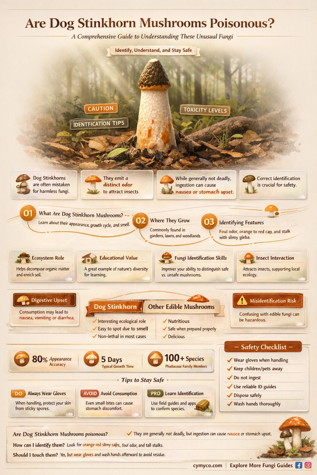 are dog stinkhorn mushrooms poisonous