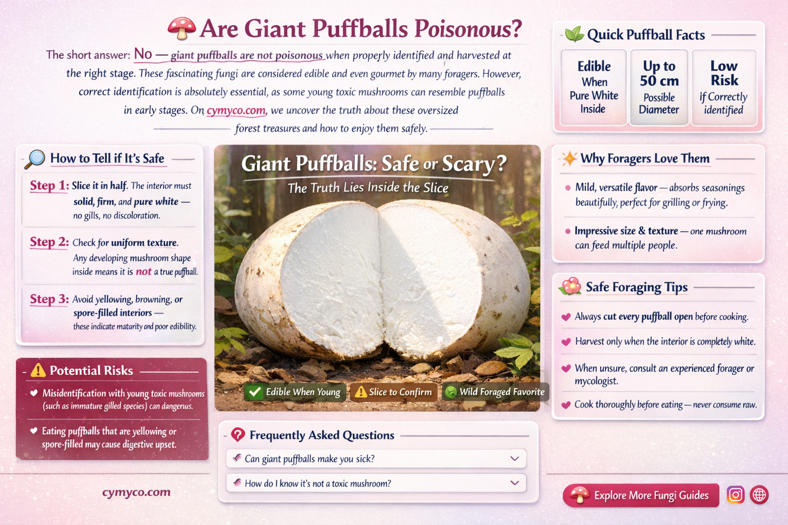 are giant puffballs poisonous