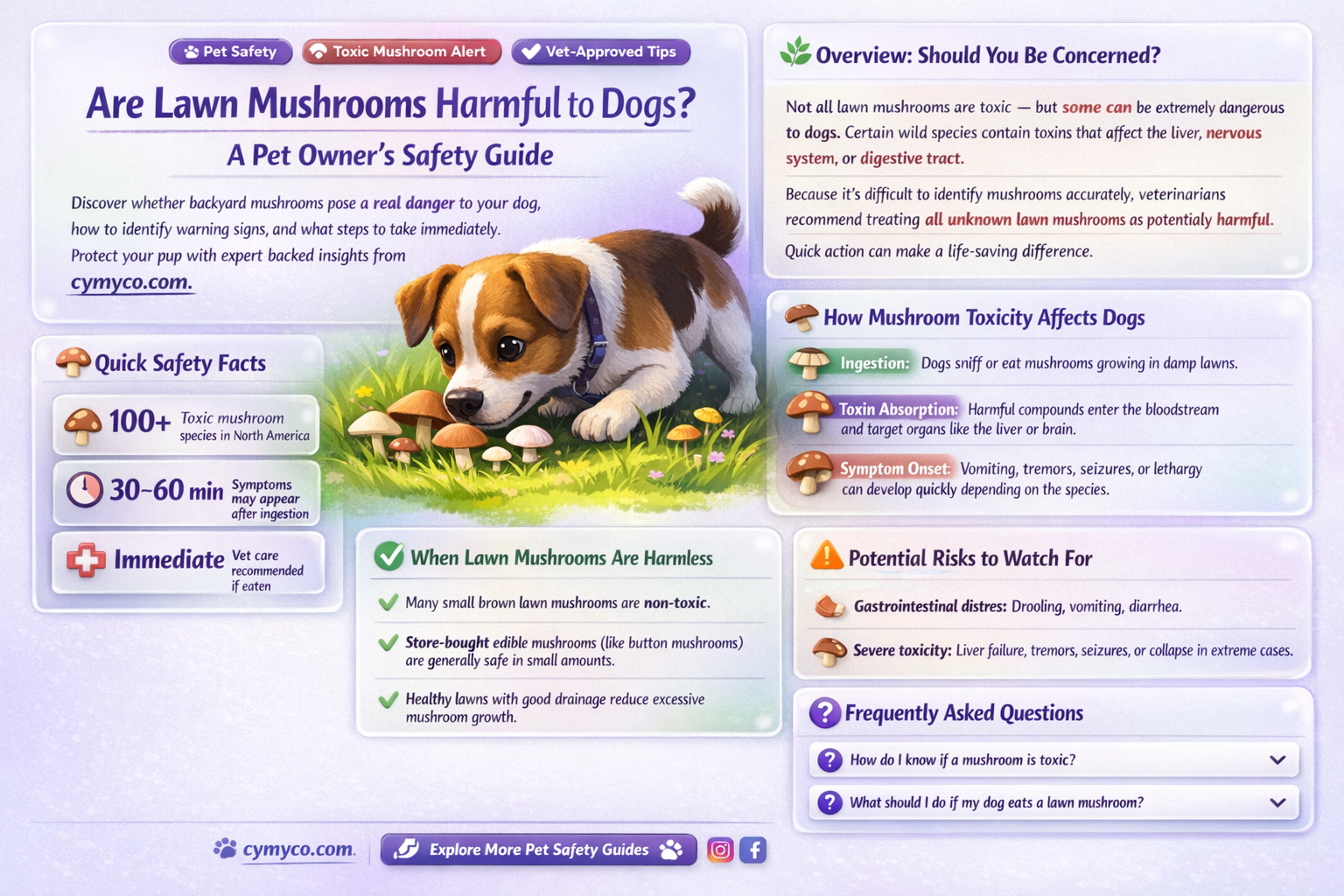 are lawn mushrooms bad for dogs