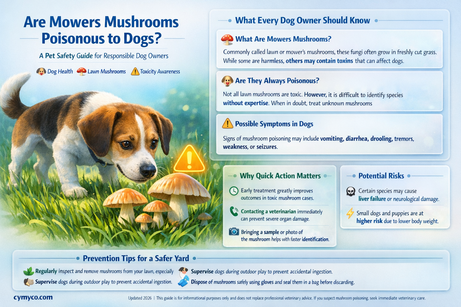 are mowers mushrooms poisonous to dogs