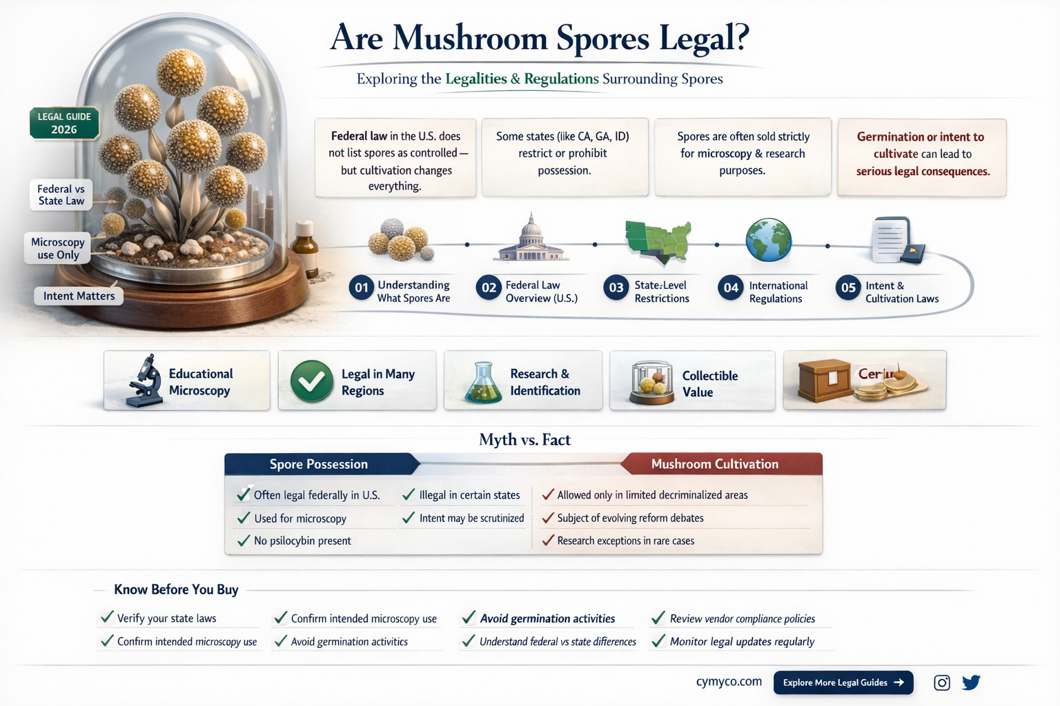 are mushroom spores legal
