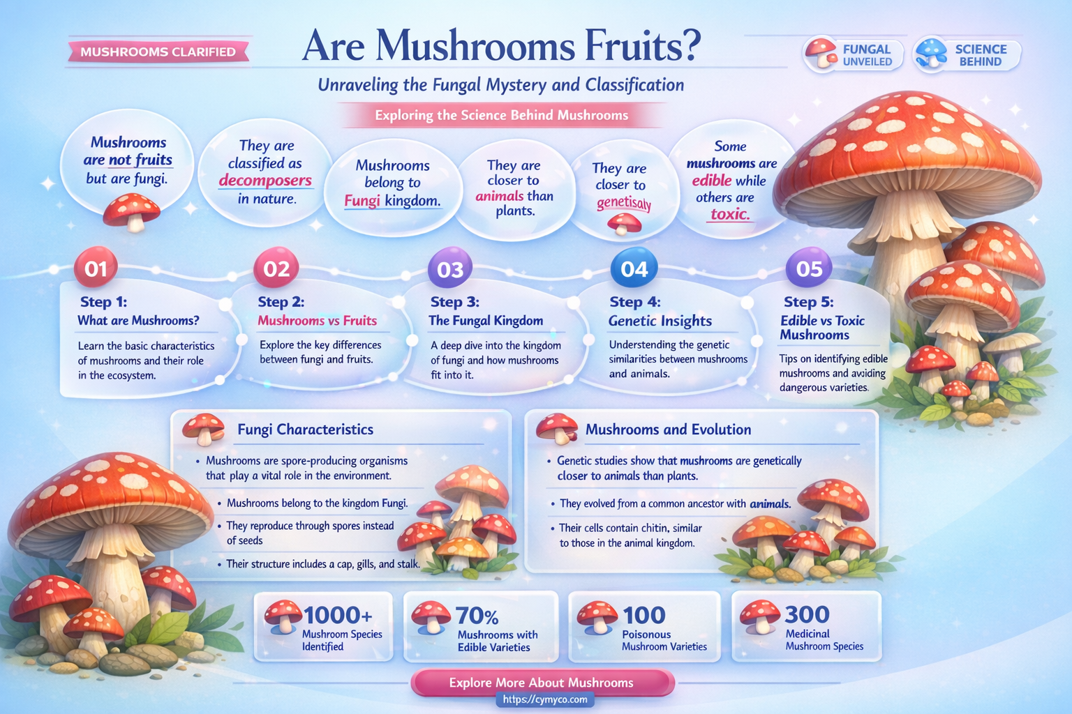 is mushroom a fruit