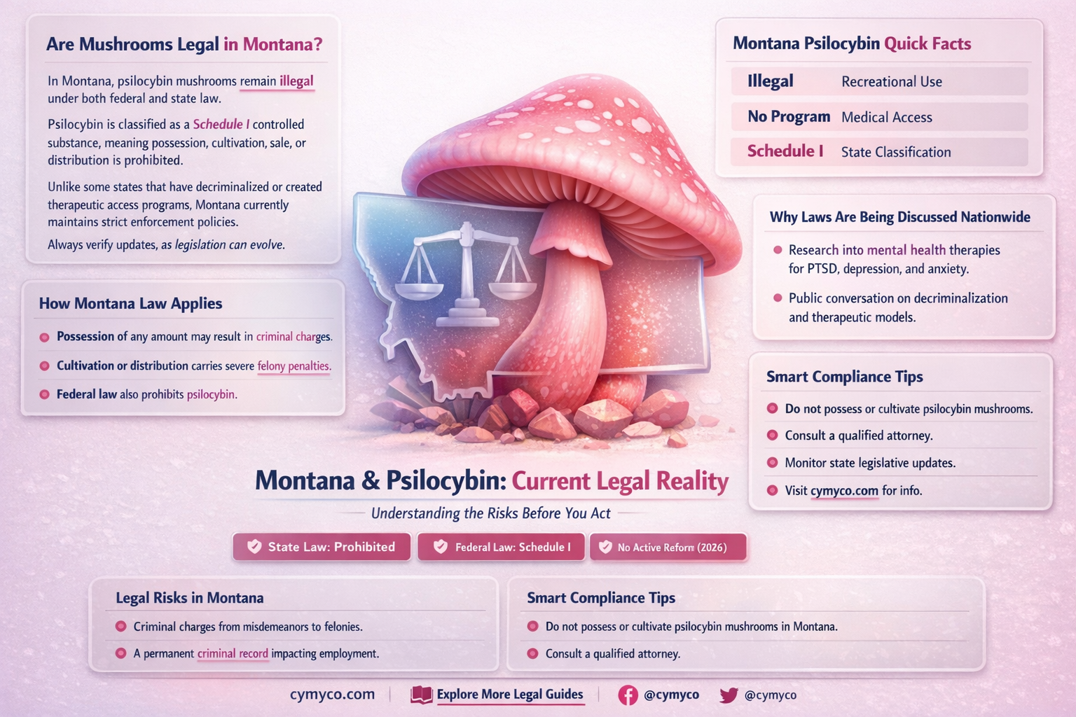 are mushrooms legal in montana