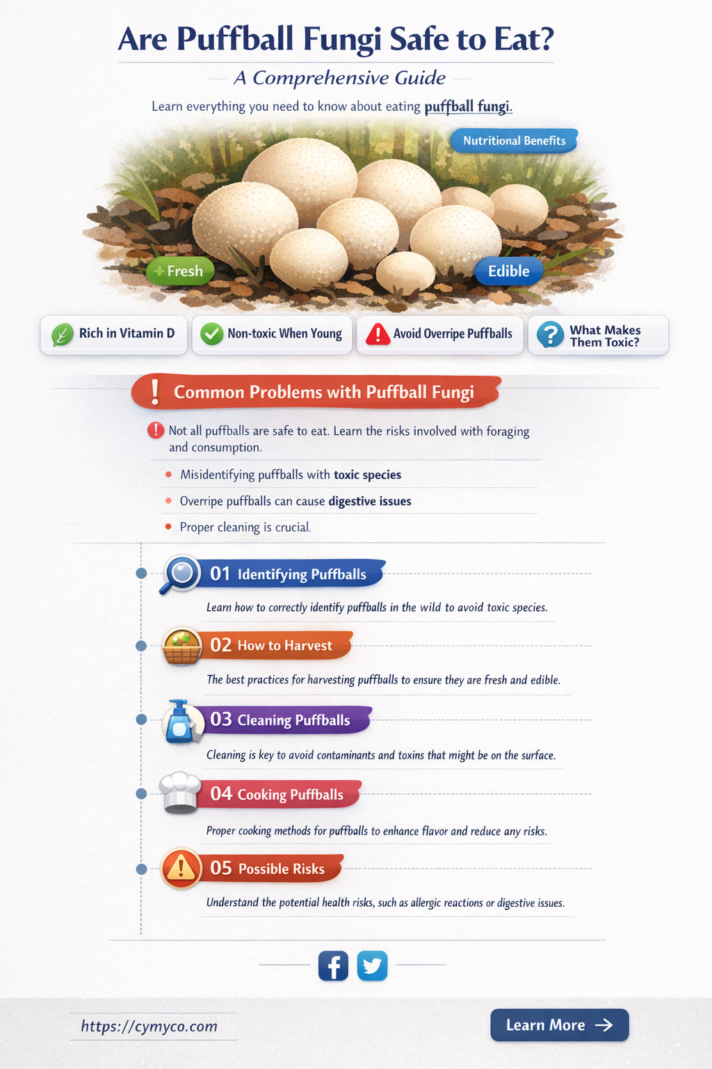 are puffball fungi safe