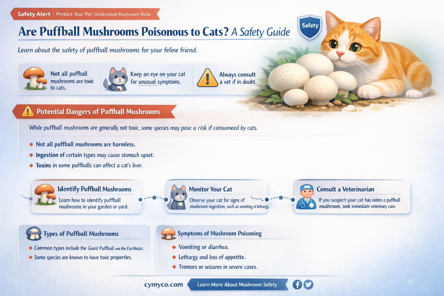 are puffball mishrooms poisonois tocats