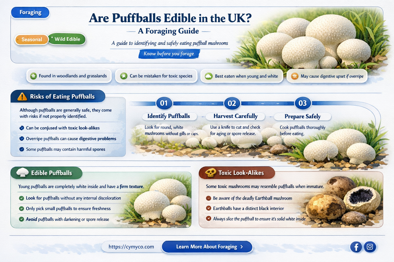 are puffballs edible uk