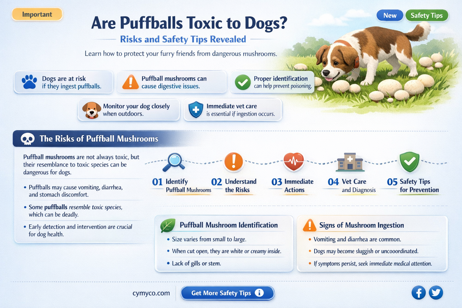 are puffballs dangerous to dogs