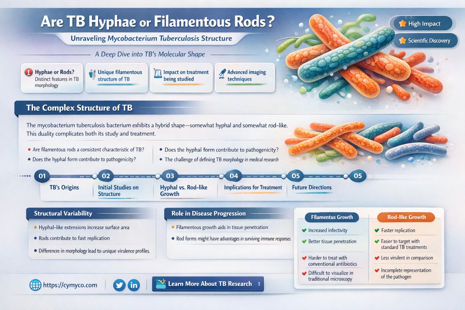 are tb hyphae or filamentous rods