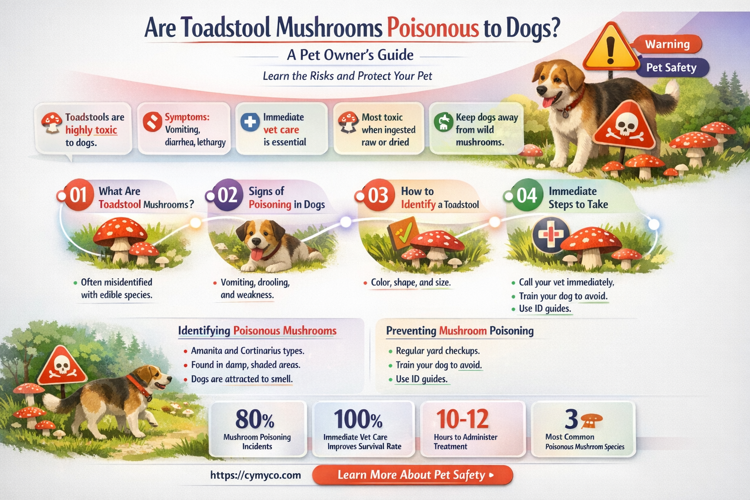 are toadstool mushrooms poisonous to dogs