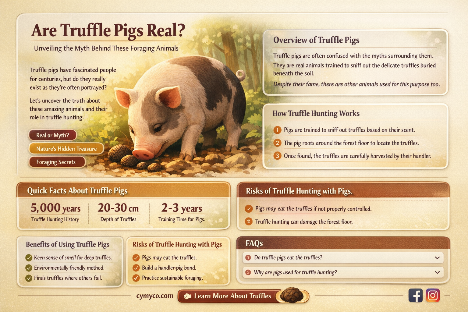 are truffle pigs real