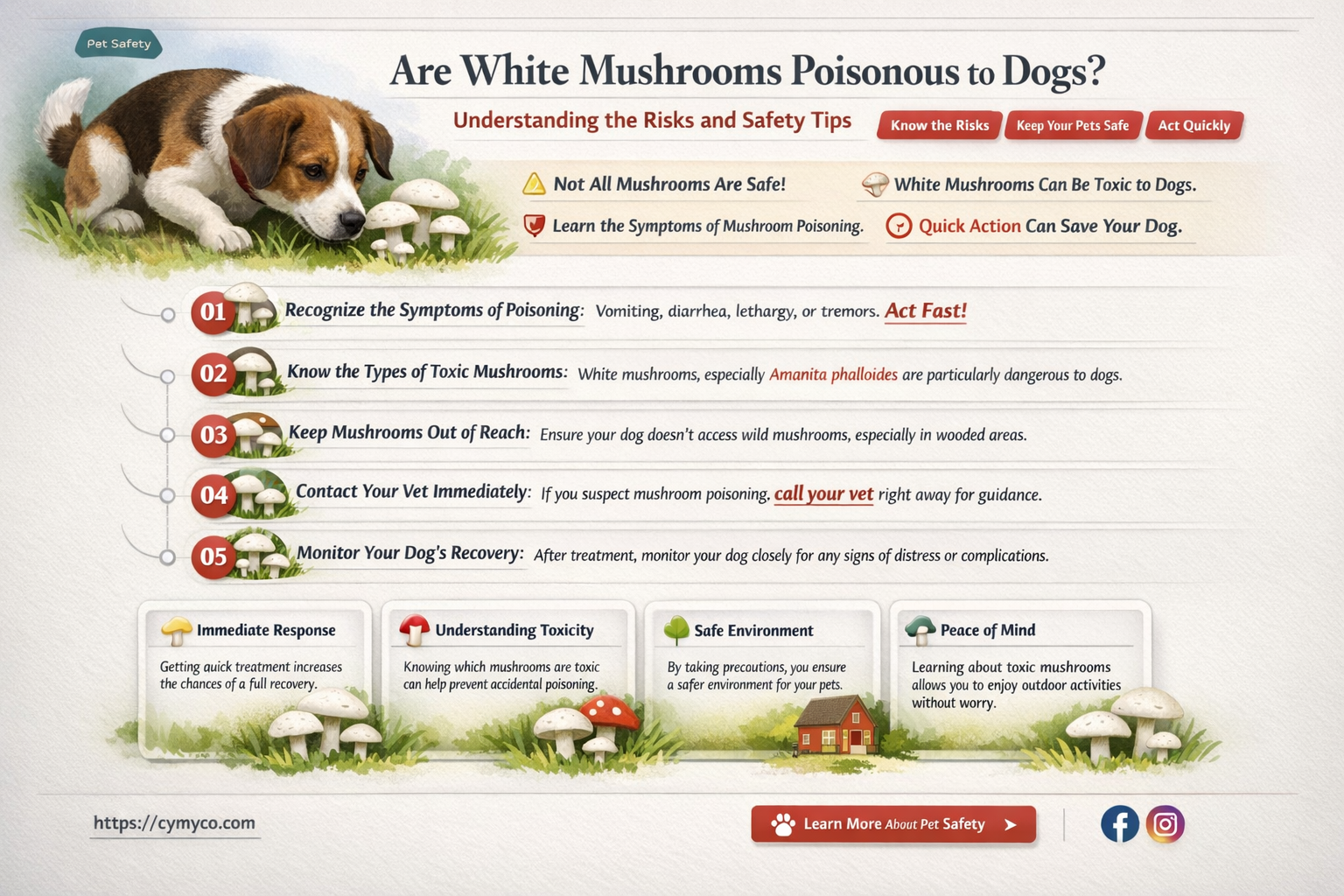 are white mushrooms poisonous to dogs
