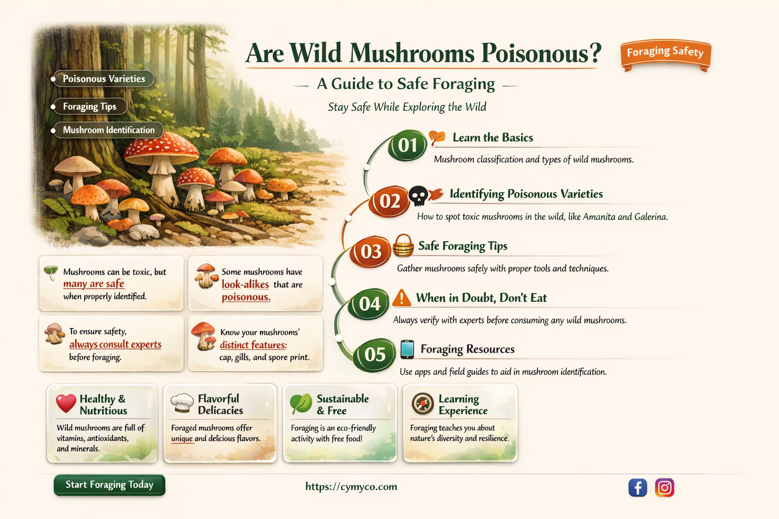 are wild mushrooms poisonous